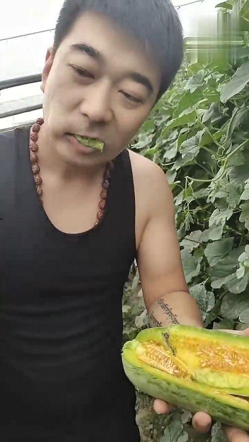 吃瓜的小瓜哥哥是谁,网络红人的崛起之路