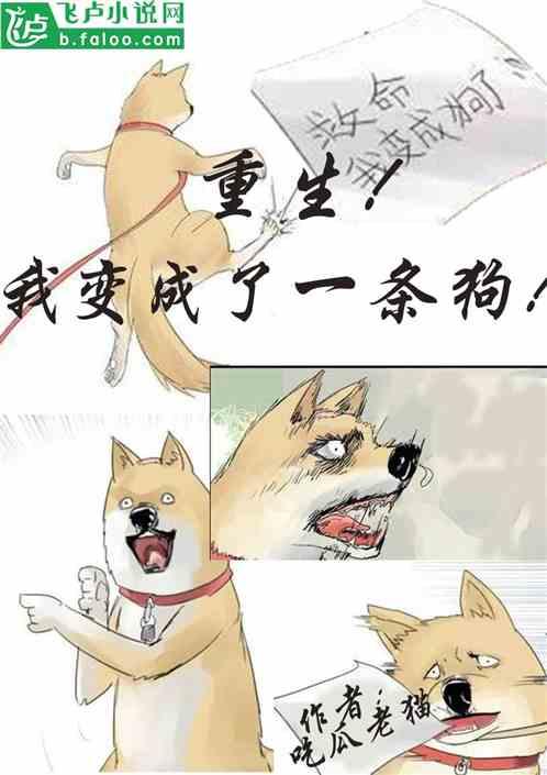 小说甜蜜吃瓜,一场甜蜜的吃瓜盛宴