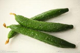 吃瓜莱州,探寻美食与文化的独特魅力