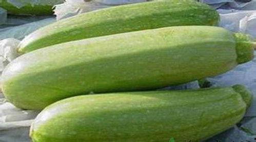 茭瓜儿童吃,营养美味,助力健康成长