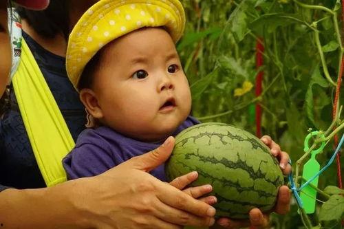 吃瓜群分享,一场全民参与的舆论盛宴