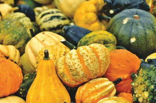 柒某在线吃瓜,揭秘娱乐圈幕后故事